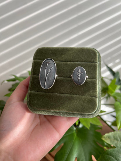 Fossil Leaf Ring in a box with various other rings